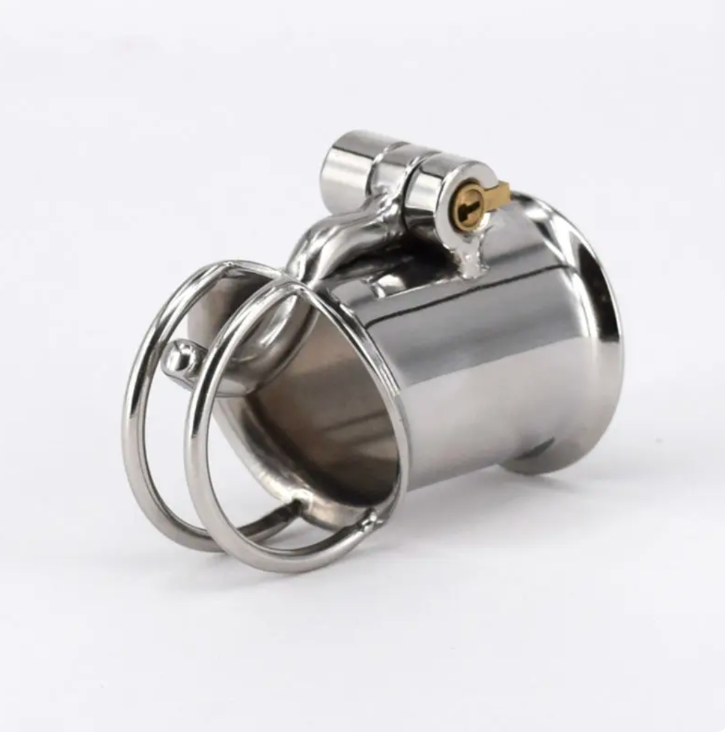 Metal PA Chastity Cage Prince Albert Cock Cage Penis Piercing Lock For BDSM Play