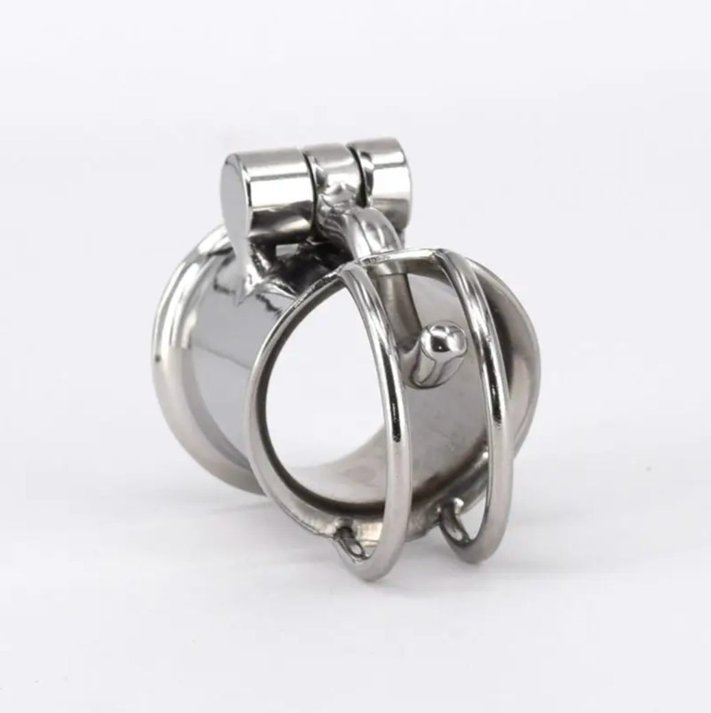 Metal PA Chastity Cage Prince Albert Cock Cage Penis Piercing Lock For BDSM Play