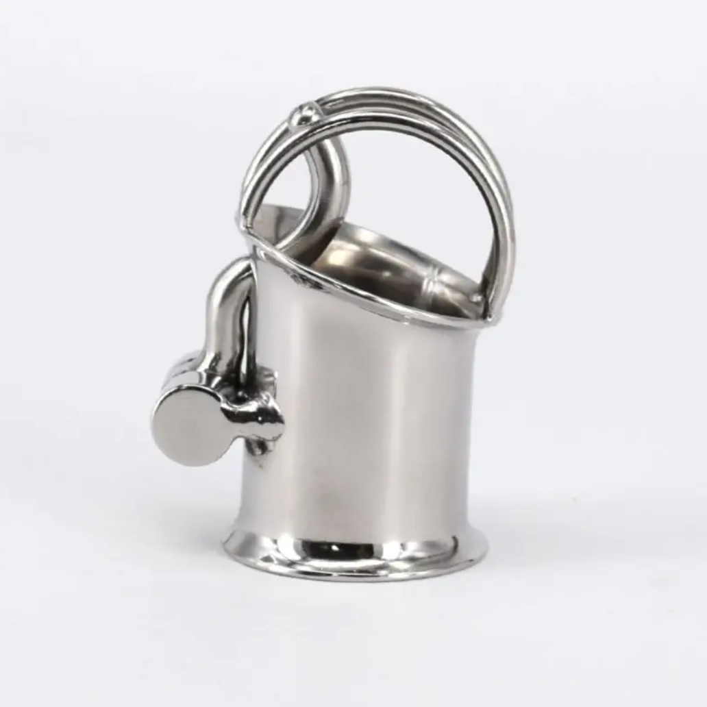 Metal PA Chastity Cage Prince Albert Cock Cage Penis Piercing Lock For BDSM Play