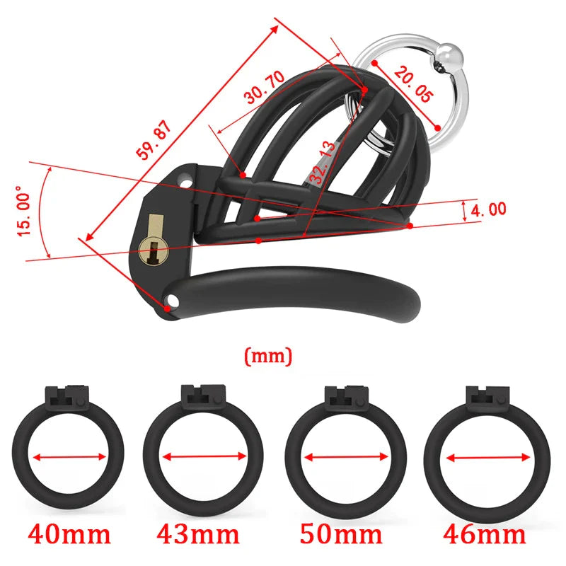 3D Printed Prince Albert PA Chastity Cage Resin Cock Cage For Penis Piercing Ring