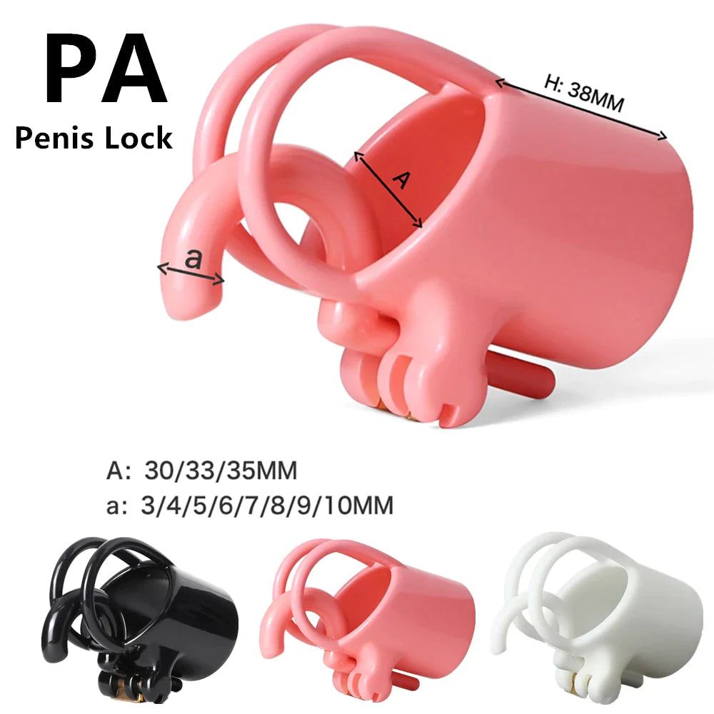 PA Lock Prince Albert Chastity Cage 3D Printed Resin Extreme Cock Cage For Men