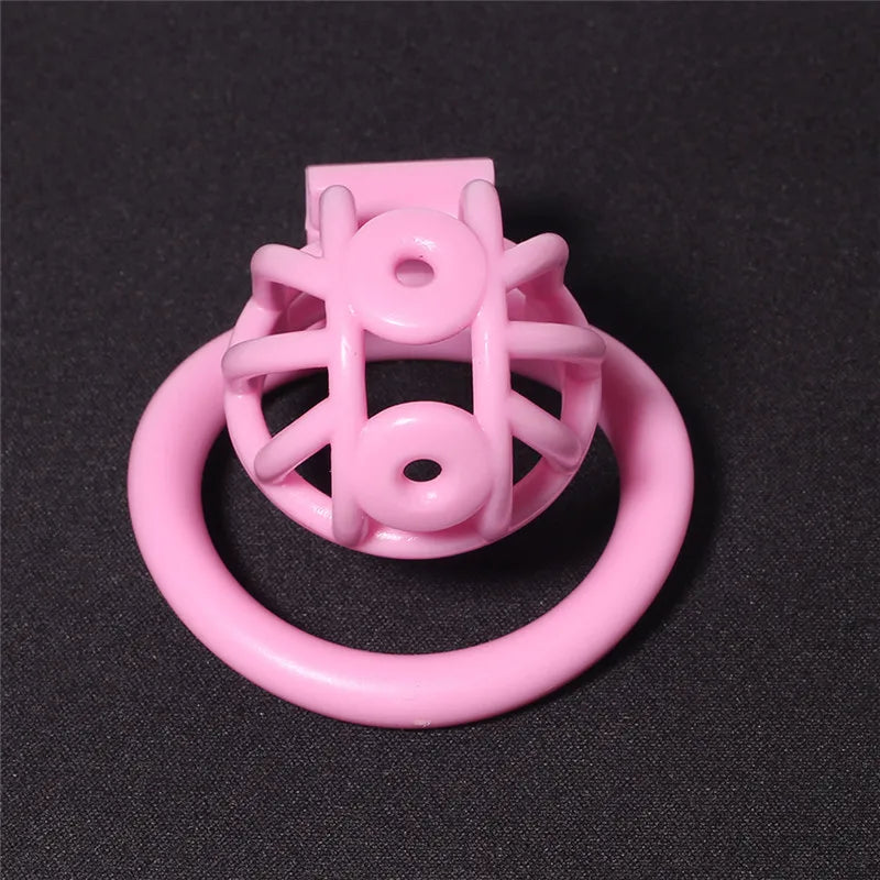 3D Printed Prince Albert PA Chastity Cage Resin Cock Cage For Penis Piercing Ring