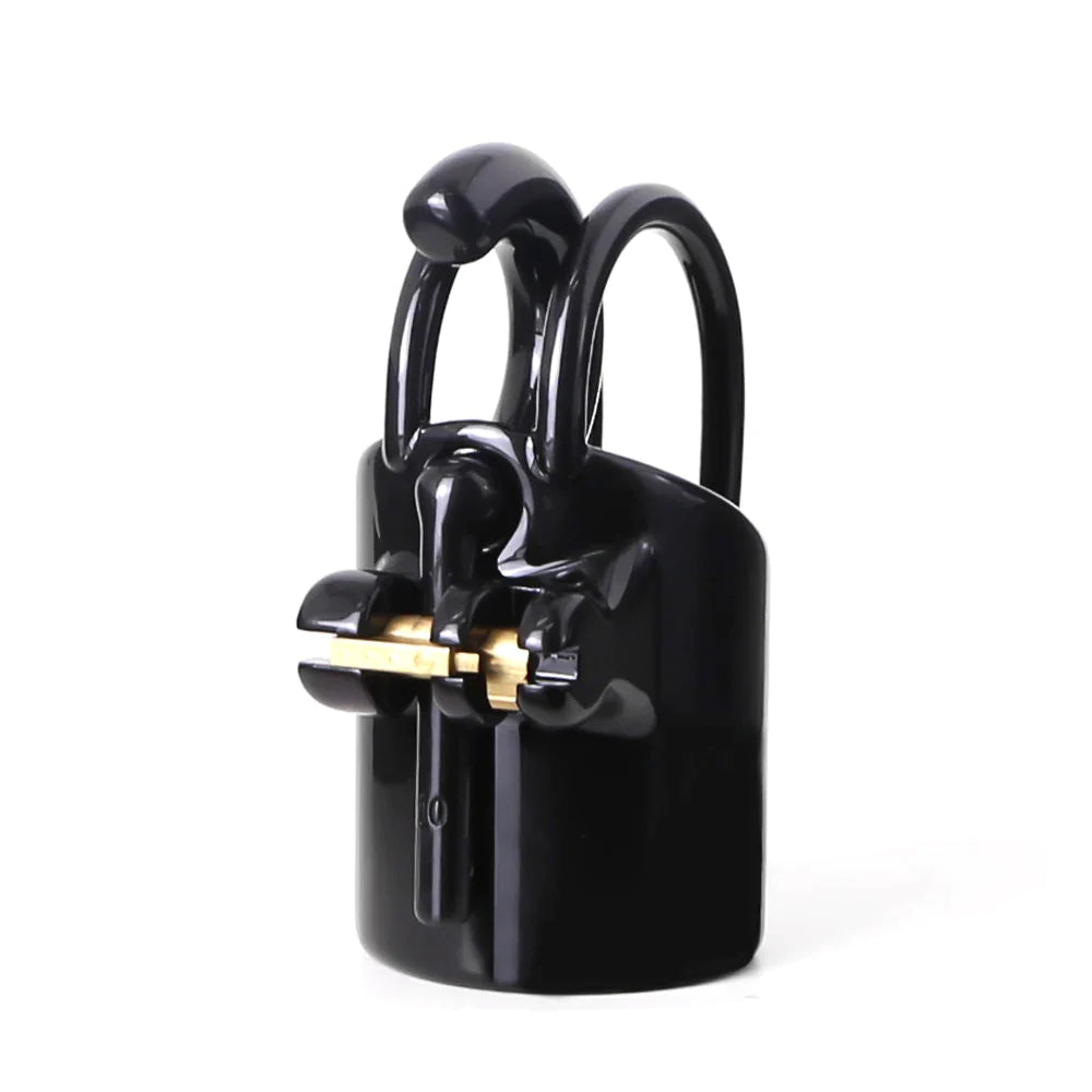 PA Lock Prince Albert Chastity Cage 3D Printed Resin Extreme Cock Cage For Men