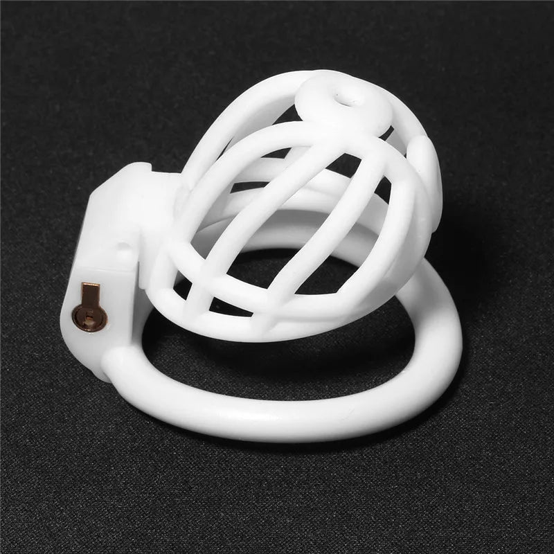 3D Printed Prince Albert PA Chastity Cage Resin Cock Cage For Penis Piercing Ring