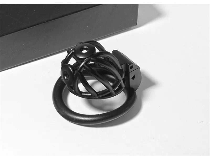 3D Printed Prince Albert PA Chastity Cage Resin Cock Cage For Penis Piercing Ring