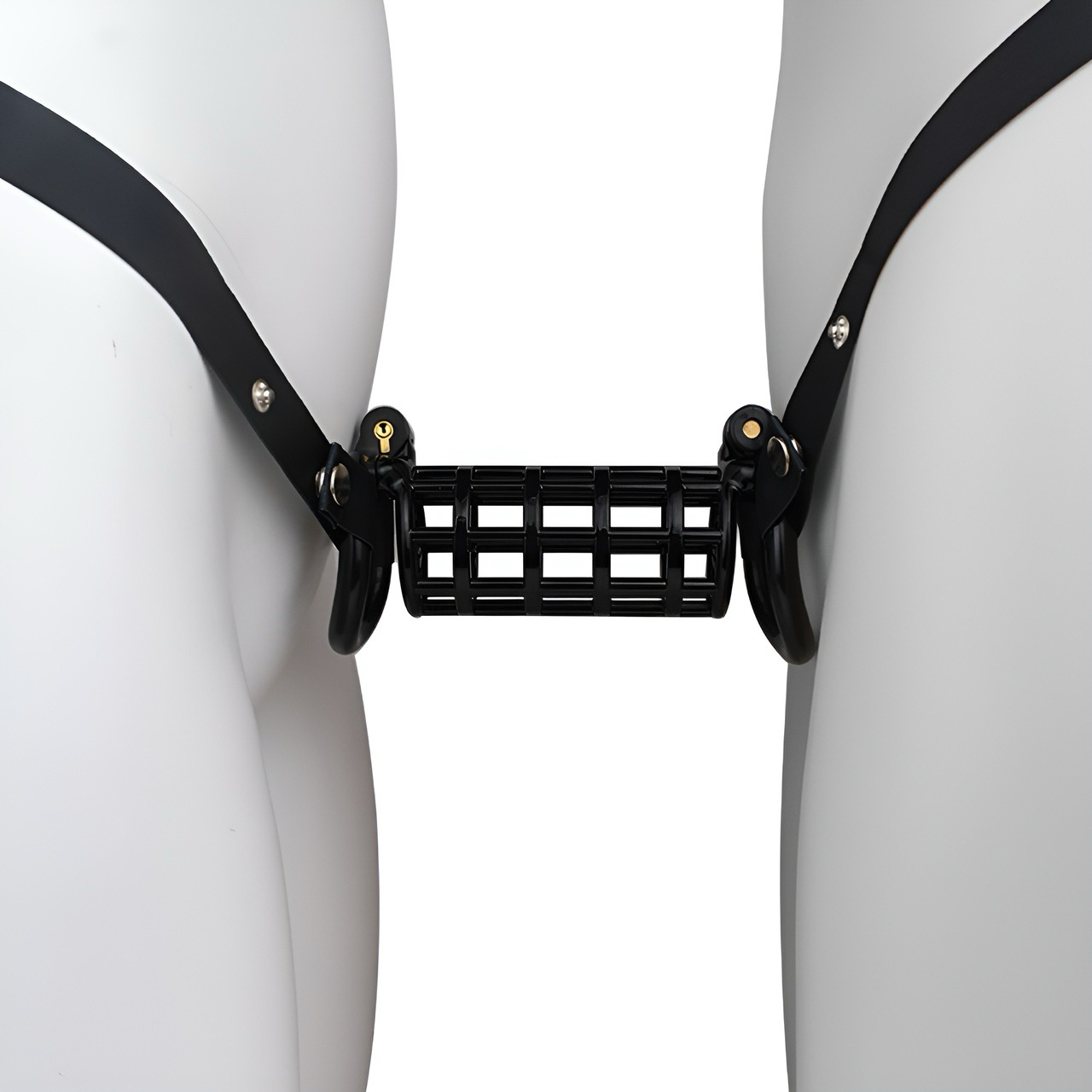 Double Dick Chastity Cage Belt for Couples Shared Dual-Wear Cock Cage