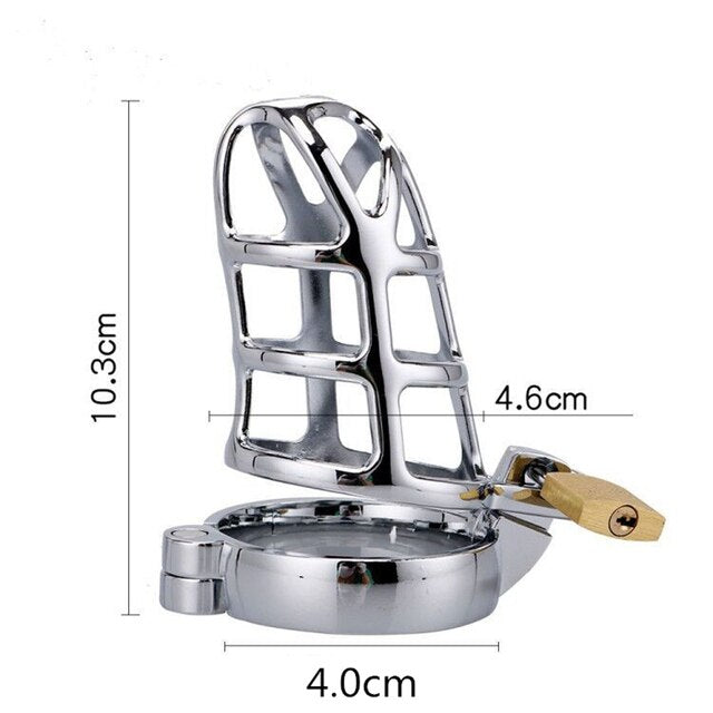 Hollow Metal Chastity Cage BDSM Mal Chastity Device Cock Cage Penis Lock For Men