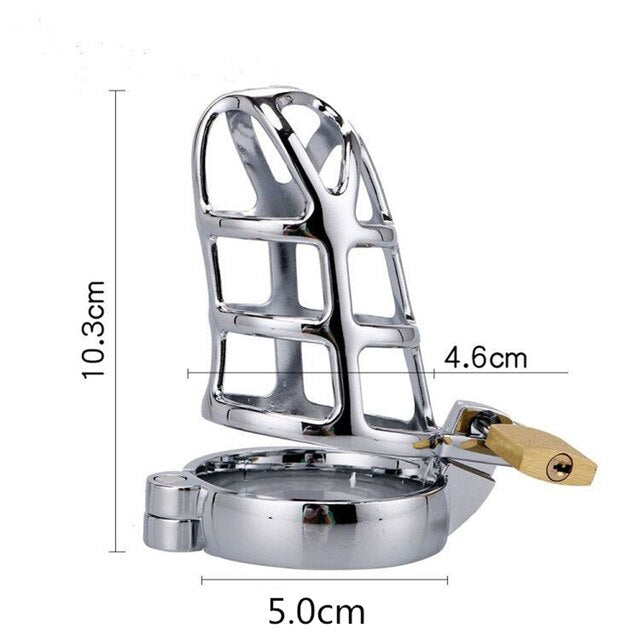 Hollow Metal Chastity Cage BDSM Mal Chastity Device Cock Cage Penis Lock For Men