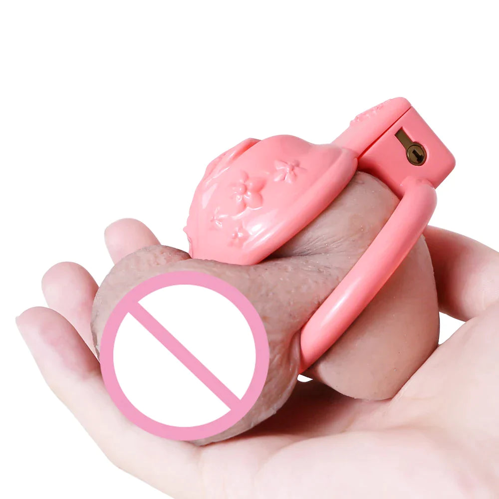 Small Pink Pussy Chastity Cage For Sissy Tiny Clitoris Cock Cage For Ladyboy Femboy Gay Transgender