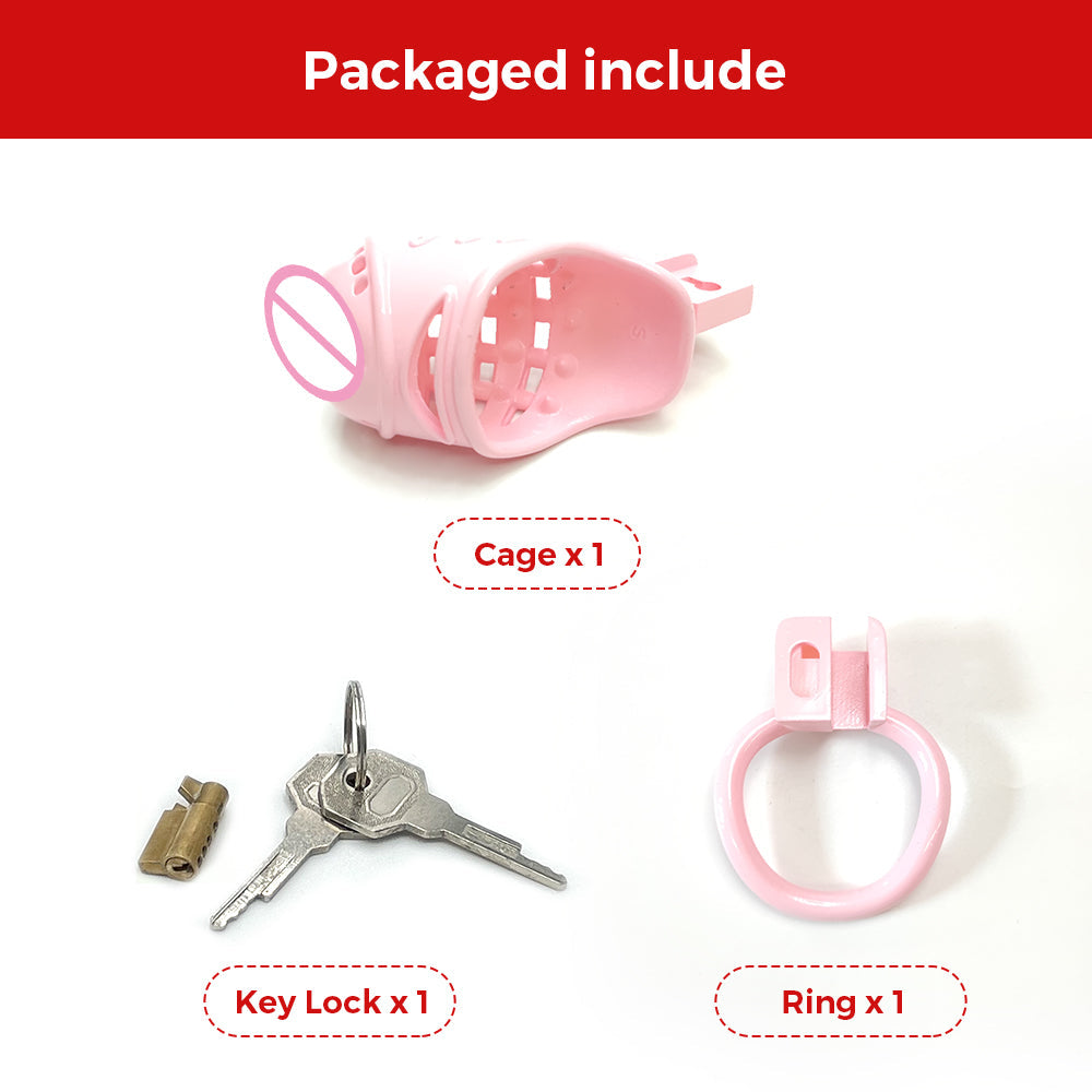 Pink Spiked Chastity Cage with Clitoris Urination Opening Sexual Punishment Chastity Device