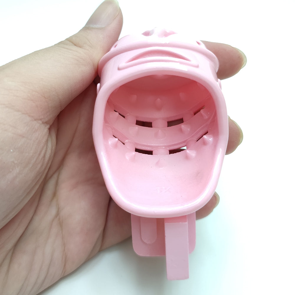 Pink Spiked Chastity Cage with Clitoris Urination Opening Sexual Punishment Chastity Device