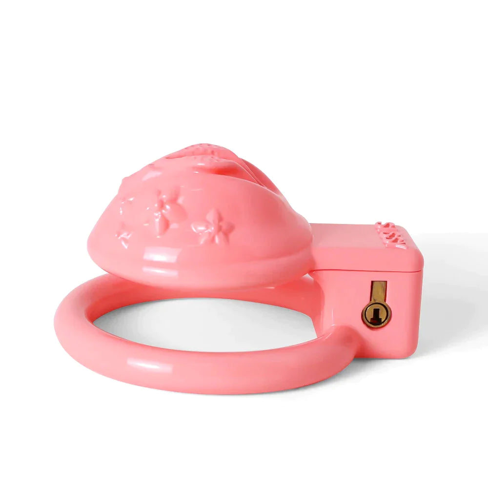 Small Pink Pussy Chastity Cage For Sissy Tiny Clitoris Cock Cage For Ladyboy Femboy Gay Transgender