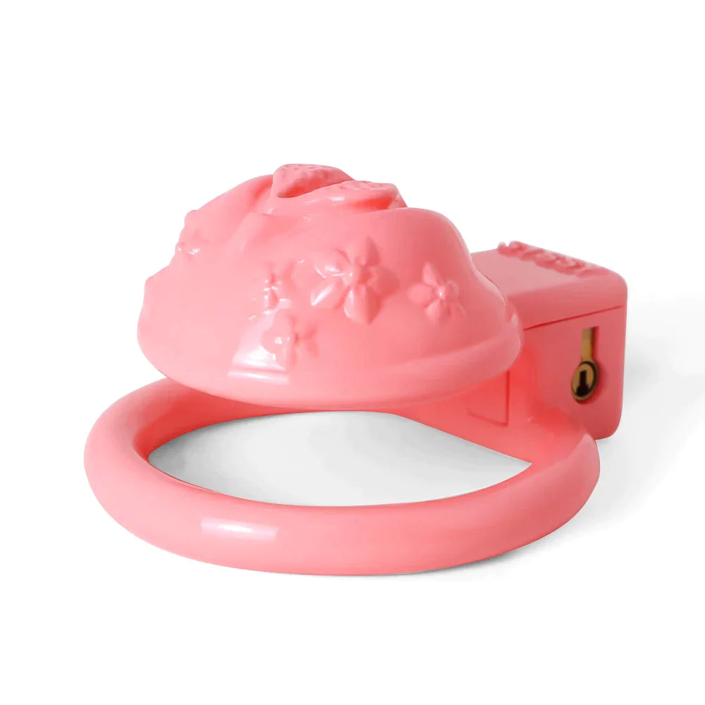 Small Pink Pussy Chastity Cage For Sissy Tiny Clitoris Cock Cage For Ladyboy Femboy Gay Transgender