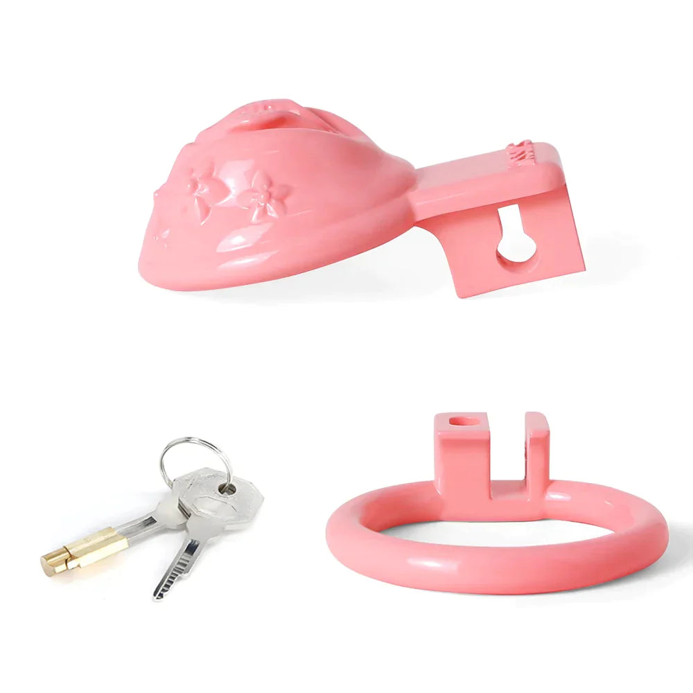 Small Pink Pussy Chastity Cage For Sissy Tiny Clitoris Cock Cage For Ladyboy Femboy Gay Transgender